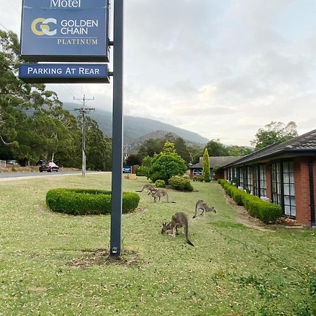 Golden Chain Country Plaza Motel Halls Gap Exterior foto