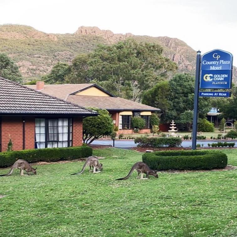 Golden Chain Country Plaza Motel Halls Gap Exterior foto