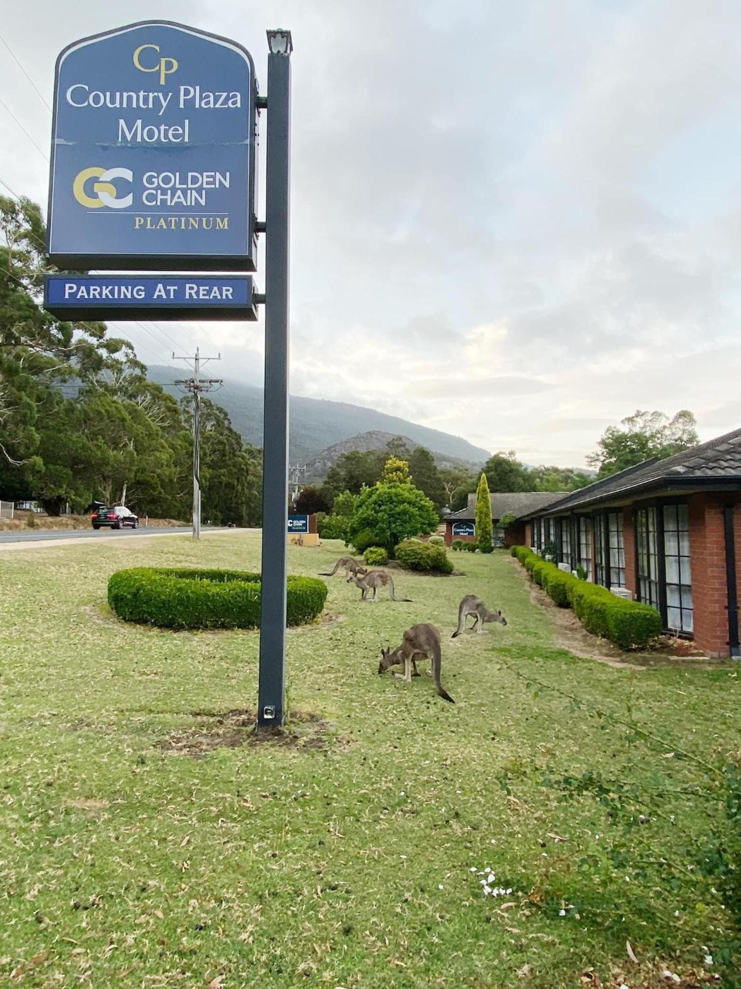 Golden Chain Country Plaza Motel Halls Gap Exterior foto